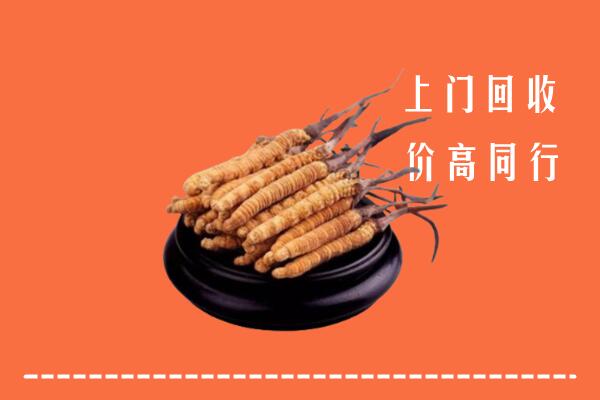 高价求购：宝鸡市陈仓回收散虫草