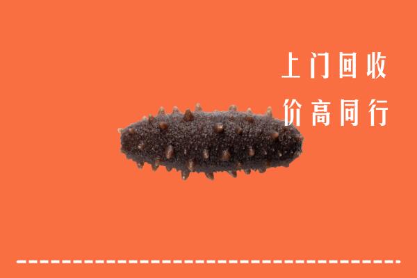高价求购：宝鸡市陈仓回收海参