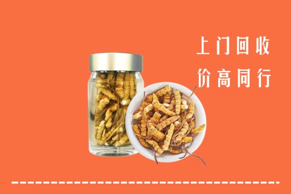 宝鸡市陈仓回收冬虫夏草