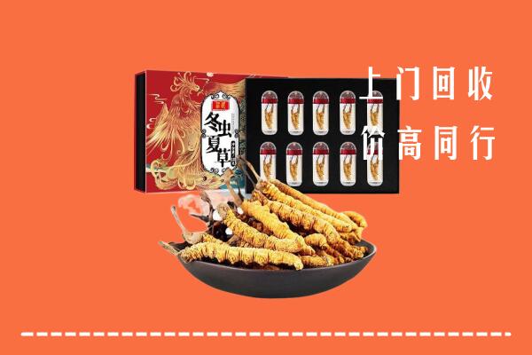 宝鸡市陈仓回收虫草